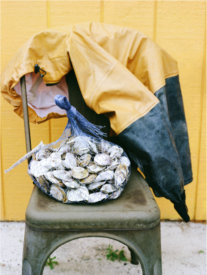 The Freshest Oysters in ... New Jersey?!