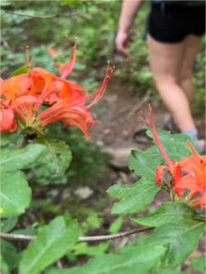 Road Trips and Trail Hikes: The Keys to Parenthood