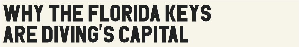 Why the Florida Keys Are Diving's Capital