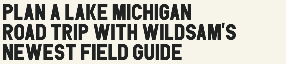 Plan a Lake Michigan Road Trip