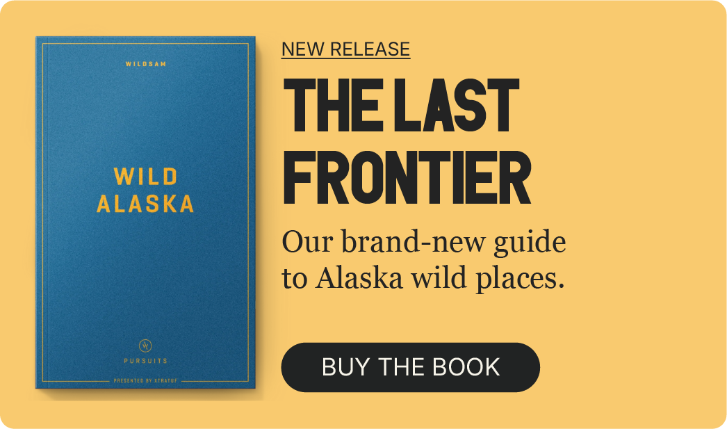 The last frontier