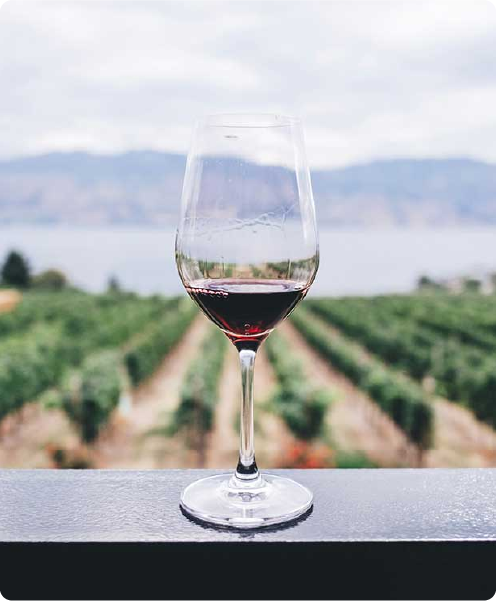 Wine Country and food