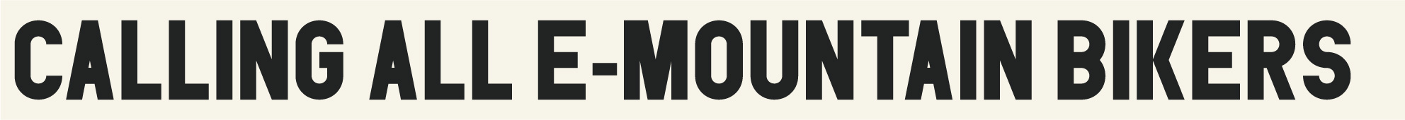Calling All e-Mountain Bikers
