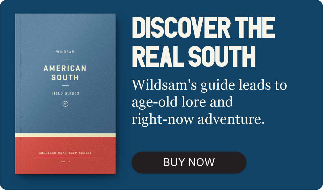 Discover the Real South -- Buy now