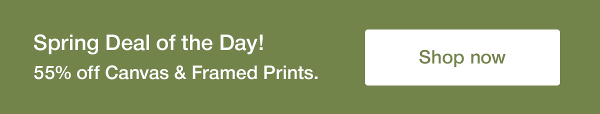 Deal of the day! Get 55% off frames & canvas prints