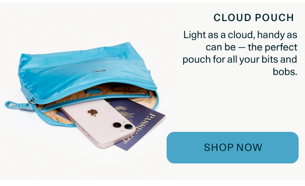 an image of a blue pouch with a passport and a cell phone