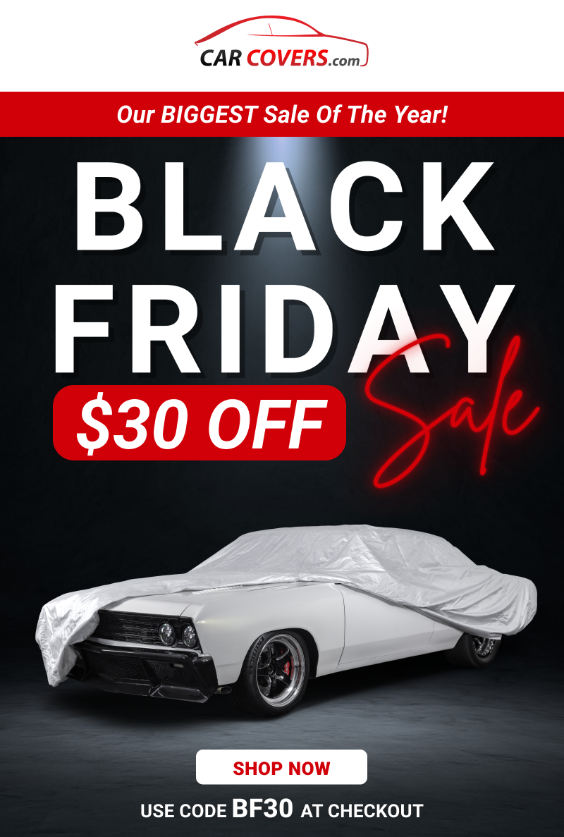 Get $30 OFF for our Black Friday Sale