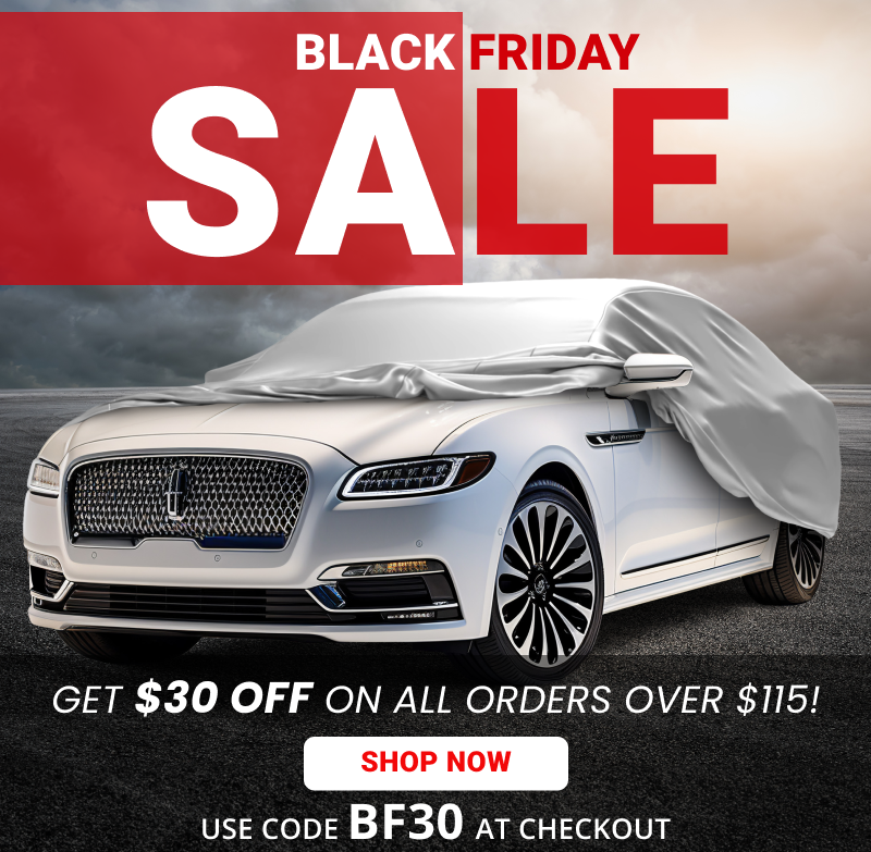 Get $30 OFF for our Black Friday Sale