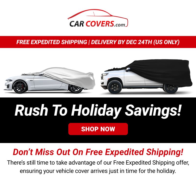 Free expedited shipping. Get it by Dec 24