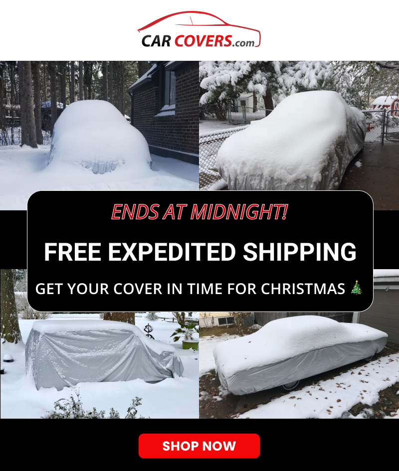 Free expedited shipping ends at midnight! Get it by Dec 24