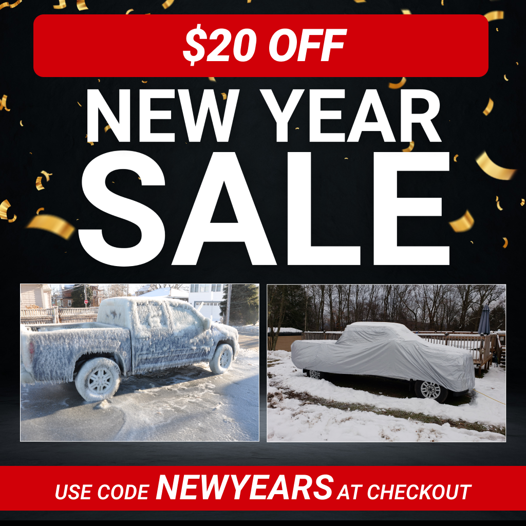 $20 OFF for New Years Sale