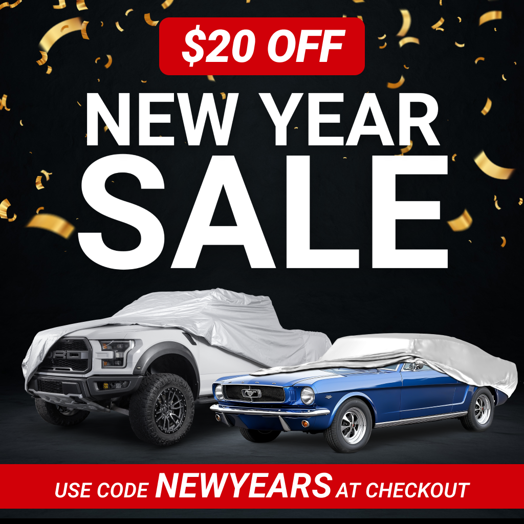$20 OFF for New Years Sale