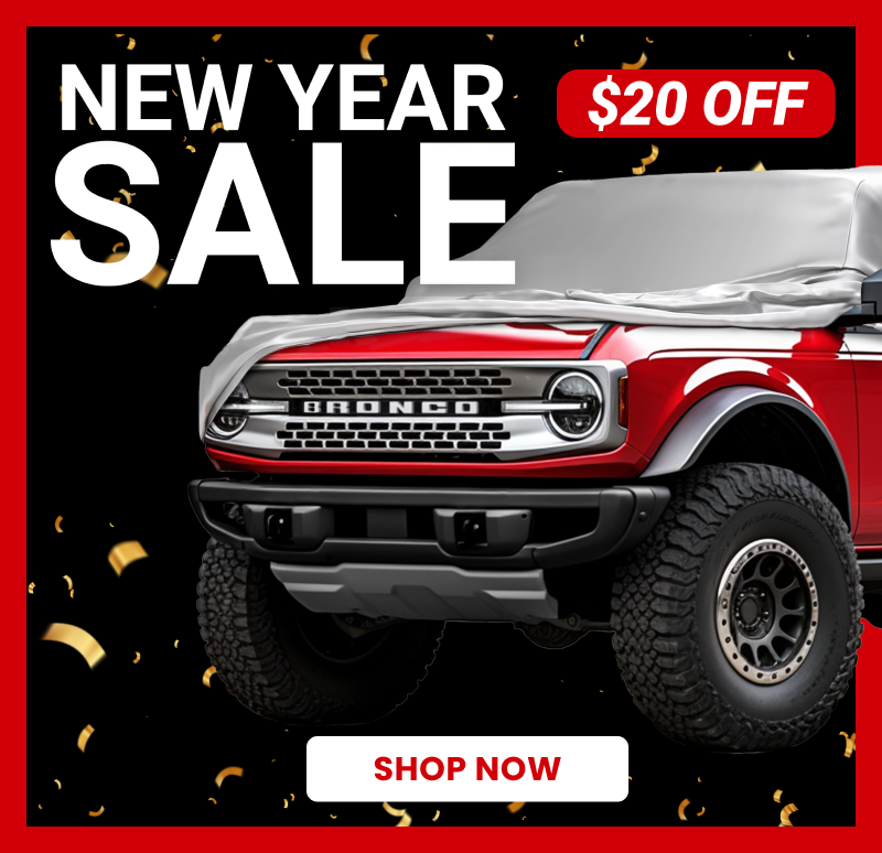$20 OFF for New Years Sale