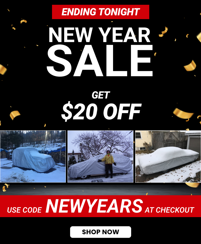 $20 OFF for New Years Sale