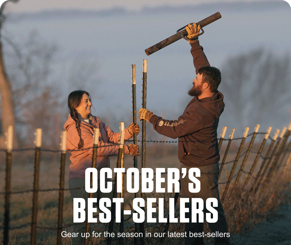 October's Best Sellers