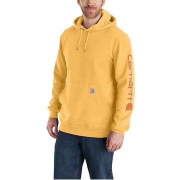 Loose Fit Midweight Logo Sleeve Graphic Hoodie