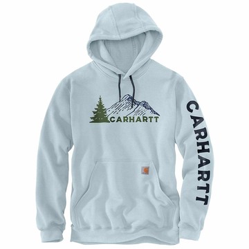 Loose Fit Midweight Mountain Graphic Sweatshirt