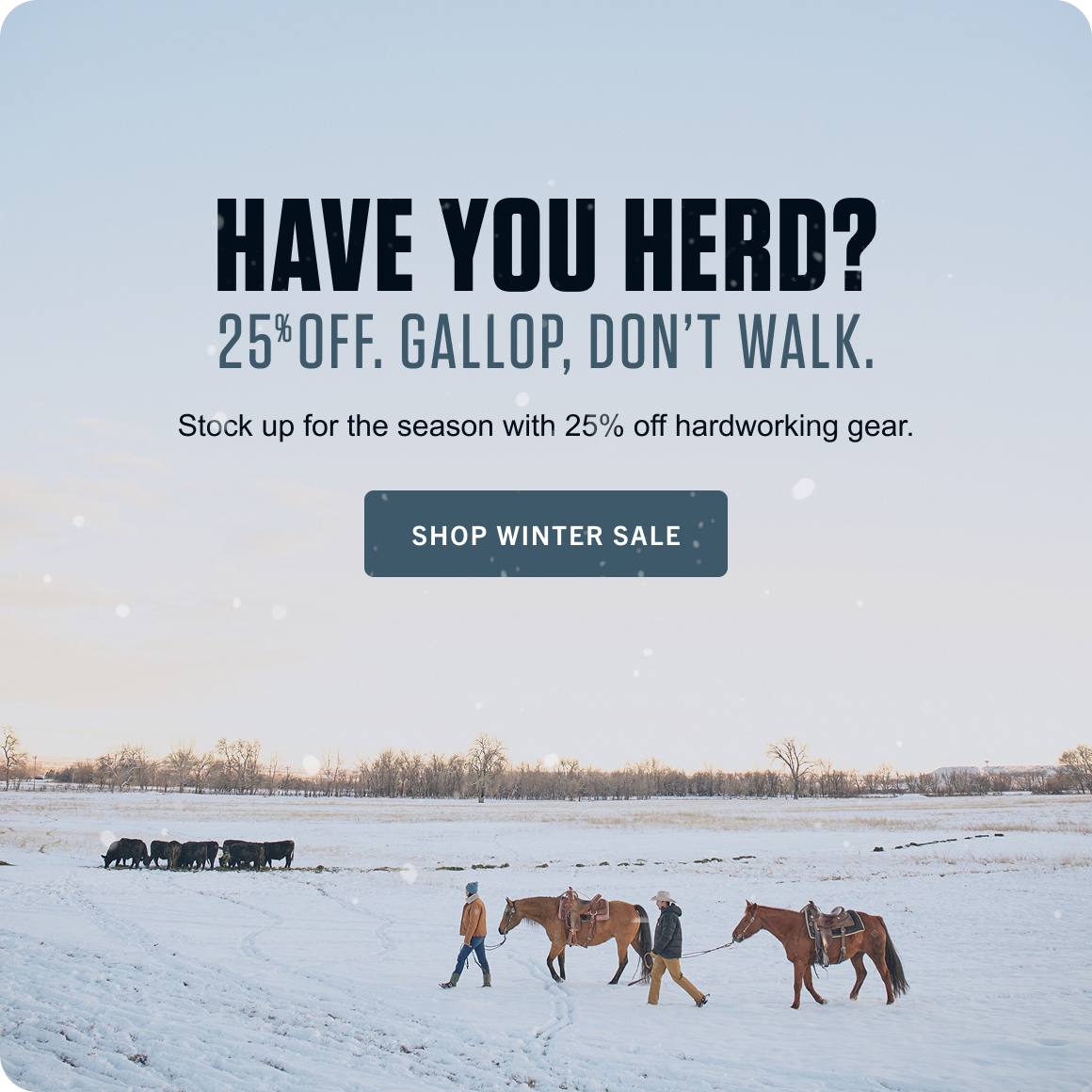 SHOP WINTER SALE