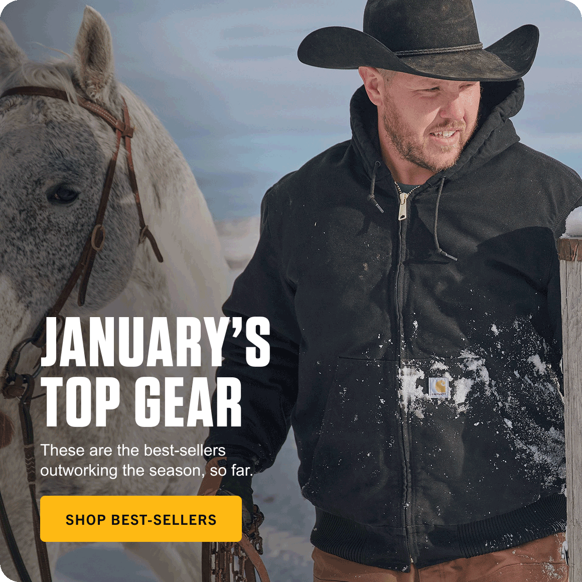 JANUARY'S TOP GEAR