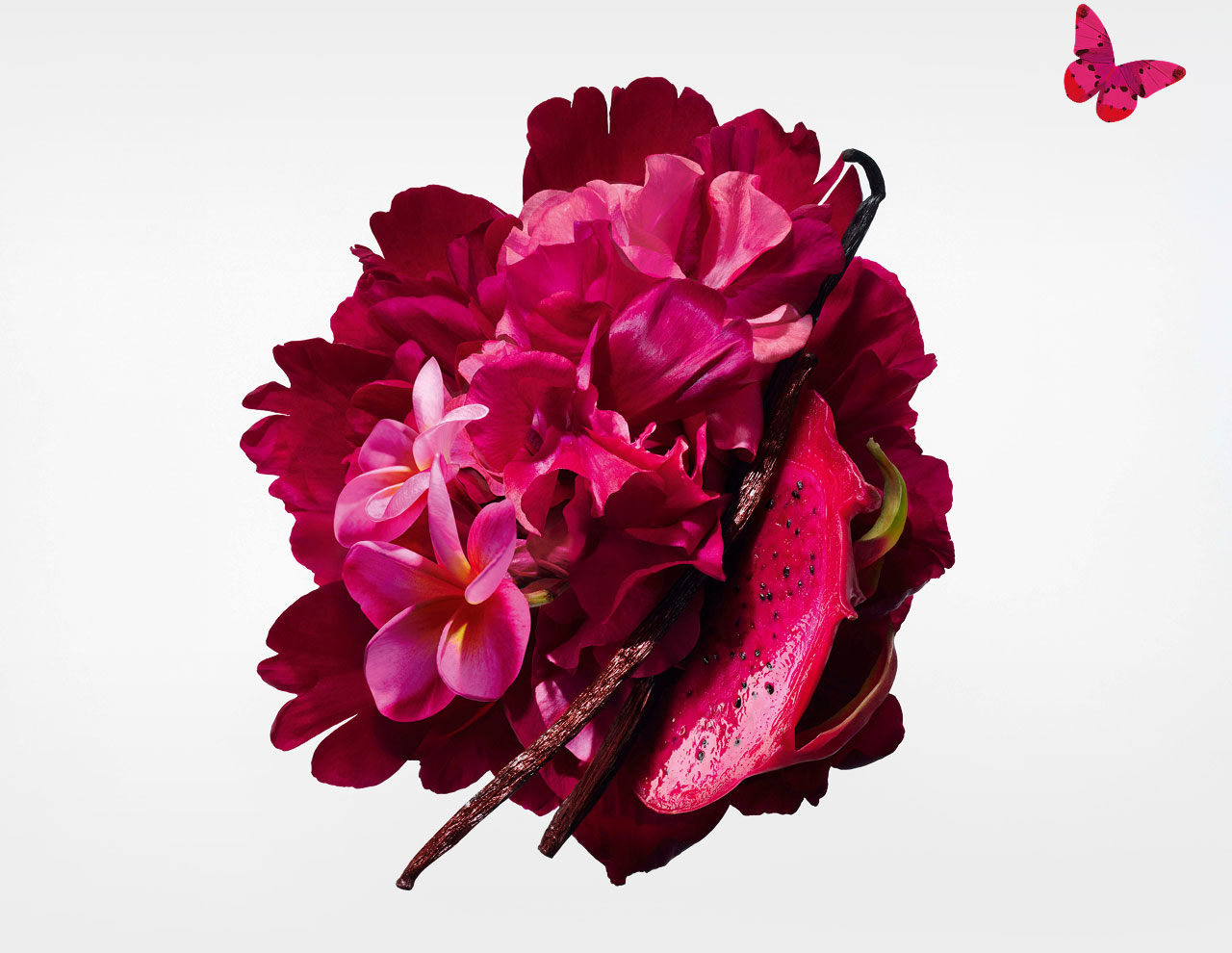 The Fragrance