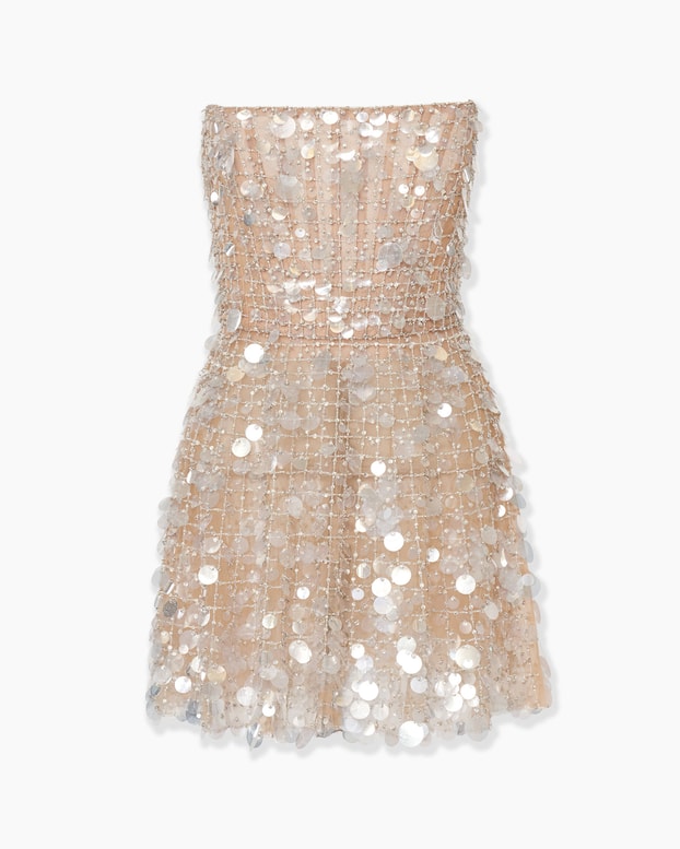 Crystal-Embroidered Bustier Mini Dress