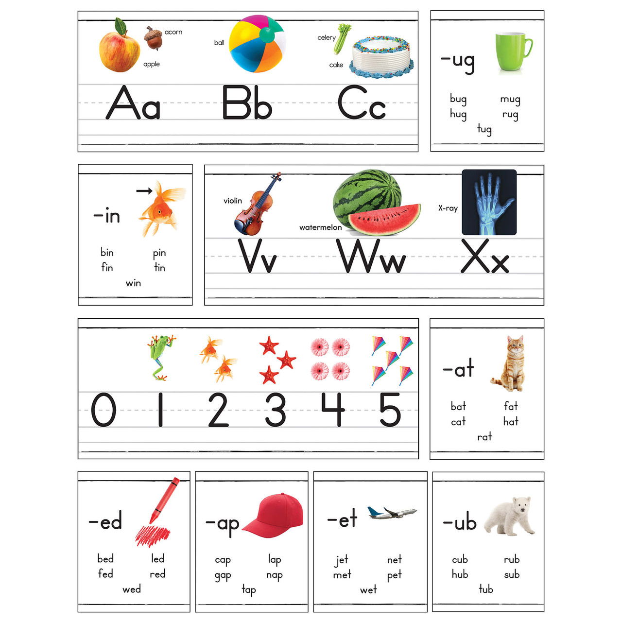 Image of Photographic Alphabet Line: Manuscript Bulletin Board Set Grade PK-2