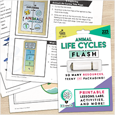 In A Flash package with a USB drive lying on top of printed lesson pages on a desk.