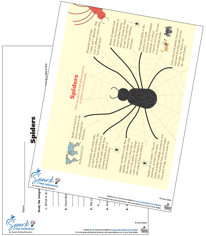 Image of Spiders Free Printable