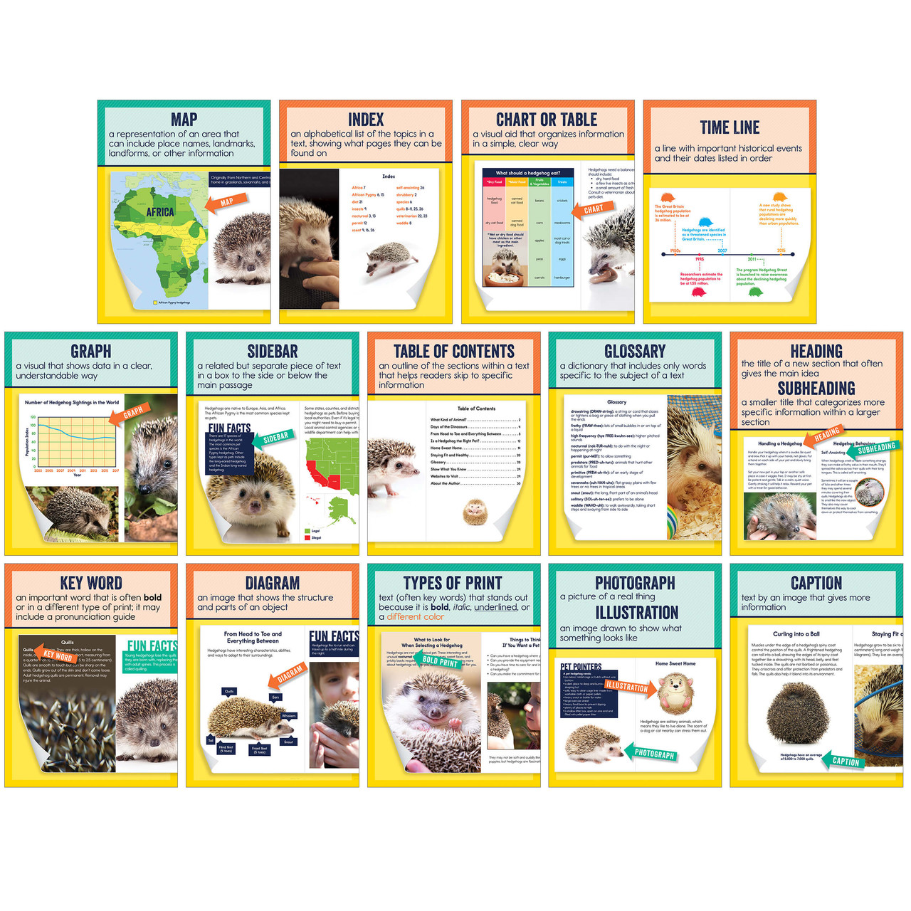 Image of Mini Posters: Nonfiction Text Features Poster Set Grade 1-6