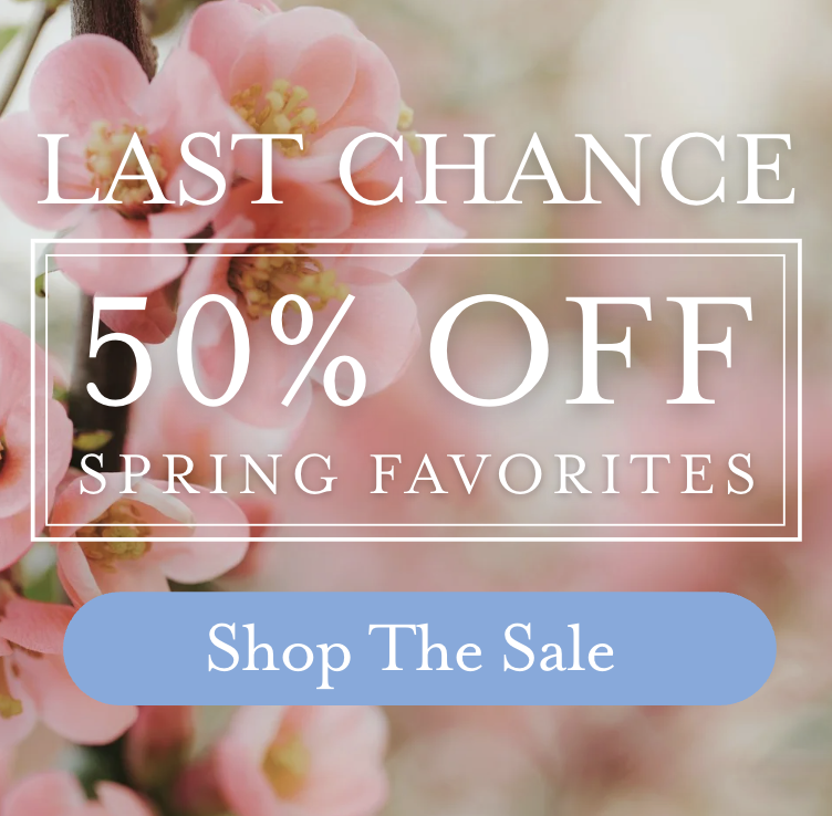 Last chance for 50% off spring scents! 