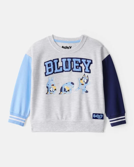 Image of Toddler Bluey Colorblock French Terry Sweatshirt - Grey