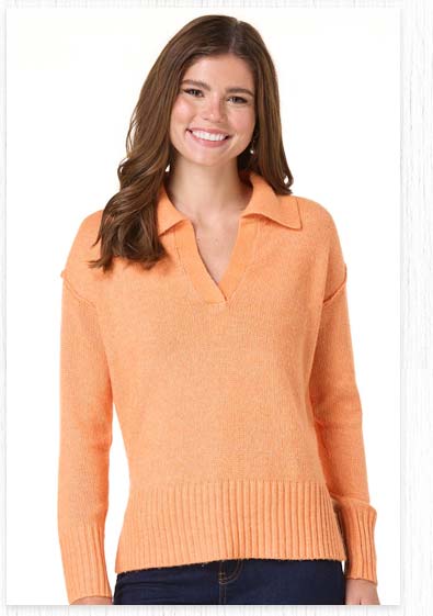 Shop Solid Polo Sweater