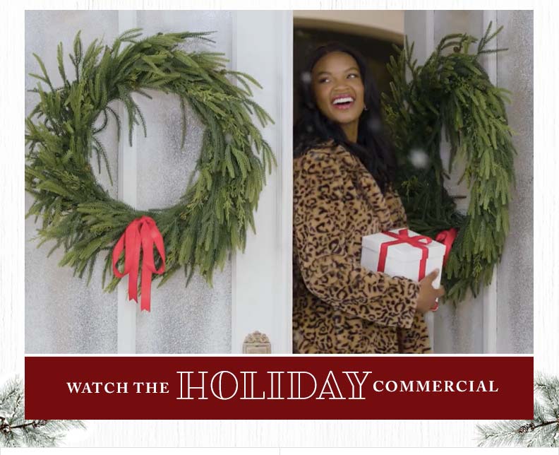 Watch the Holiday Commercial