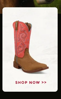 WOMEN'S BOOTS | SHOP NOW >>