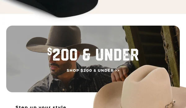 $200 & UNDER | SHOP NOW >>