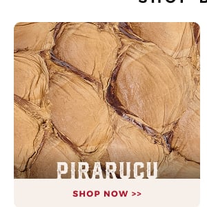 PIRARUCU