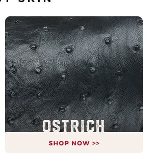 OSTRICH