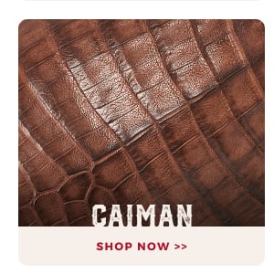 CAIMAN