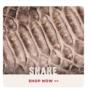 SNAKE