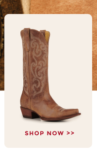 SHOP NOW >>