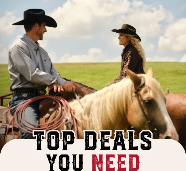 TOP DEALS YOU NEED