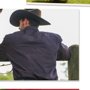 15% OFF MEN'S FALL SHIRTS | SHOP SALE >>