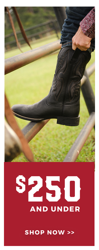 $250 & UNDER | SHOP NOW >>