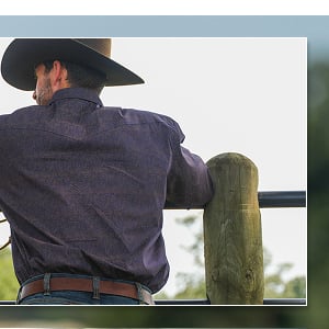 15% OFF MEN'S FALL SHIRTS >>