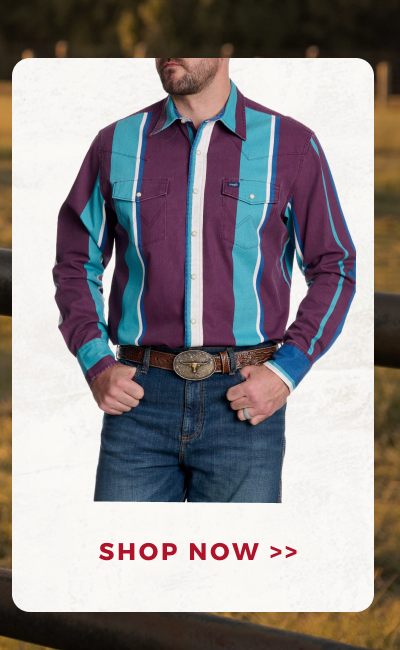 SHOP NOW >>