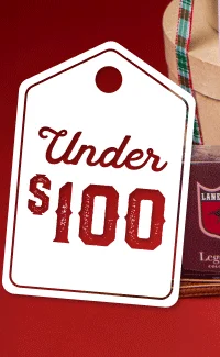 SHOP GIFTS UNDER $100