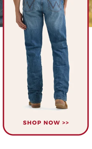 SHOP NOW >>