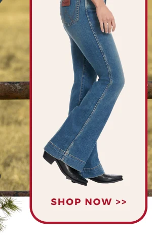 SHOP NOW >>
