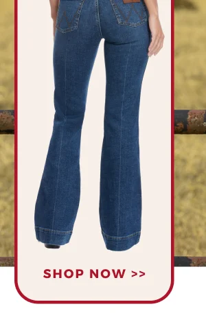 SHOP NOW >>