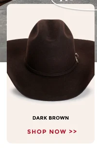 Dark Brown Resistol | Shop Now